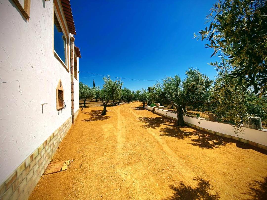 Villa Immersa In Oliveto Vista Mare Sciacca Extérieur photo