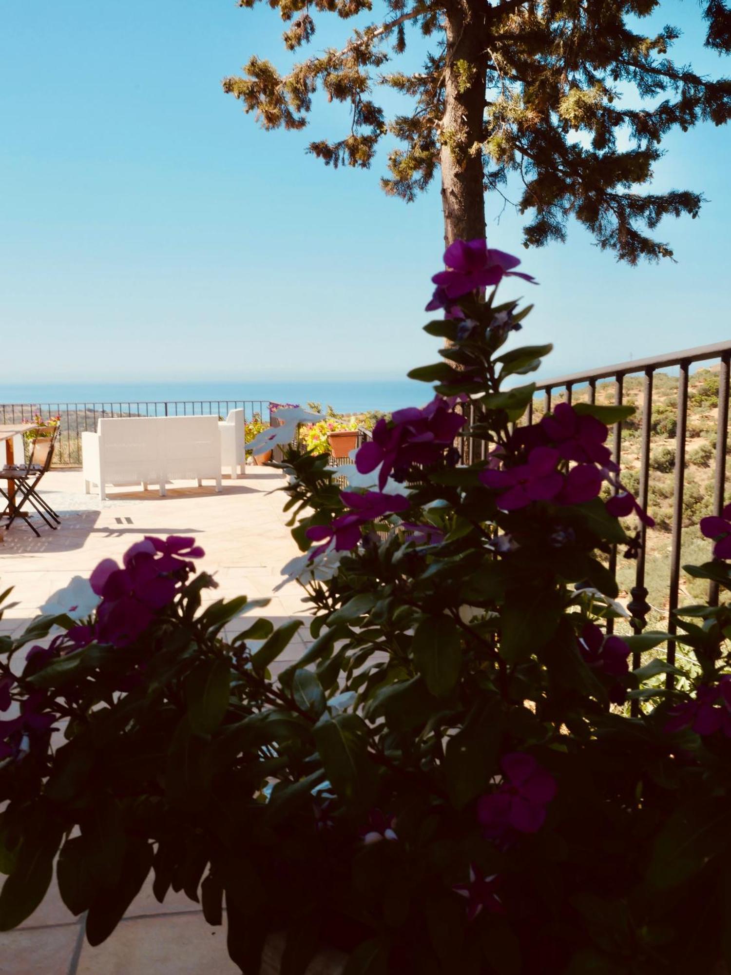 Villa Immersa In Oliveto Vista Mare Sciacca Extérieur photo